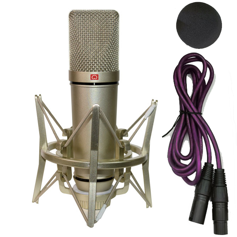 Professional Condenser Microph - Shure Mic Sm58 recension och pris