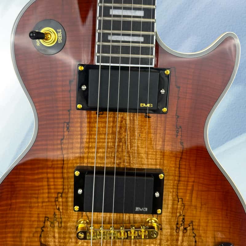 39-inch Map-Style Electric Gui - Electric Guitar Beginner recension och pris