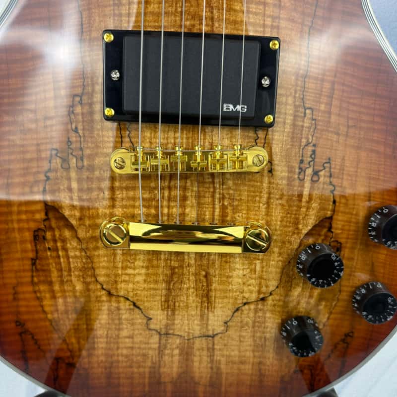 39-inch Map-Style Electric Gui - Electric Guitar Beginner recension och pris